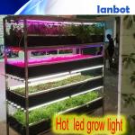 led plant grow light,cheap led grow lights,apollo led grow lights LBT-GL-14.4W