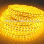 LED Rope light (square2 Wire)/lighting manufacturer CE/RoHS DS-S2-yellow-LED RL