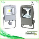 Lemon selling 30w high lumen led flood light huizhou lighting GD10204002