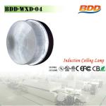 Lower Lumen Decay Induction Lamp Ceiling Light BDD-WXD-04