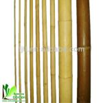 nature bamboo pole poles many