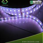 New!! 72W 300 LEDs per roll 5050 rgb led strip waterproof WHSF5050RGB-046B