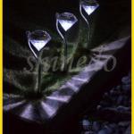 new design led solar light SD-SL030