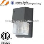 Park garden tunnel wall pack luminaires DS-407A