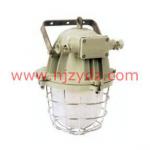 portable explosion-proof lamp zy-el