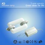 QH High Quality 2700k Plant Induction Grow Lamp QH square lamp