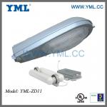 Residential Induction Street Lighting Fixture ZDseries