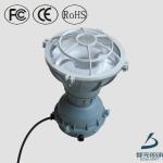 Scientific design long life span 2700k-6500k Ip65 induction explosion proof light fixture DL-FB05E