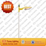 Single Arms Lighting Poles/Outdoor Lighting Poles/Lamp Poles CY-DBD-01