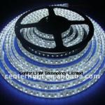 SMD3528 120pcs/m16 led strip light heat sink CL-C(H)3528-120ST-R