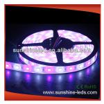 SMD3528 5050 5630 3328 rgbw/rgba led strip with CE SU-LR5050RGBA240-24