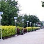 Solar Landscape Light