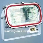 stainless steel flood halogen light TG4