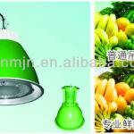 supermarket lighting fixture for fruit and vegetables FSX-R-CM70-PE3W