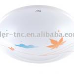 TNV-XY 20W Ceiling Lamp Ceiling Lamp TNV-MF 30W