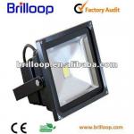 UV light BLP-FL10W01