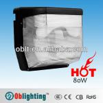 Wall Mount Outdoor Induction Light W-6003