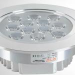 Warm White 12 W Led Ceiling Lights WL-11204